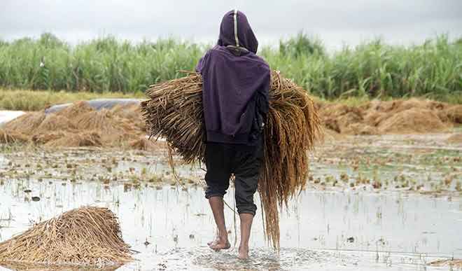 CM YOGI ADITYANTAH | FARMER | SHRESHTH UTTAR PRADESH |