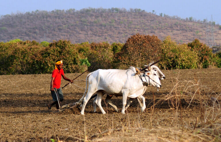 CM YOGI ADITYANATH | FARMER | NATURAL DISASTER | SHRESHTH UTTAR PRADESH |