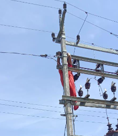 Gorakhpur | woman climbed on transformer | shreshth uttar pradesh |