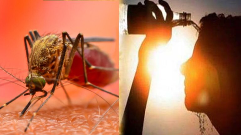 Hospitals Alerted | Heat Stroke | dengue | shreshth uttar pradesh |