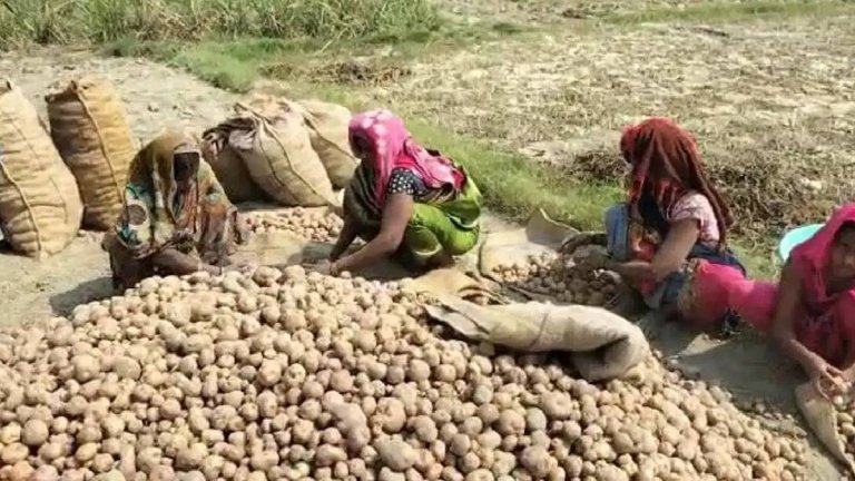 Potatoes Price Hike | Shreshth uttar Pradesh |