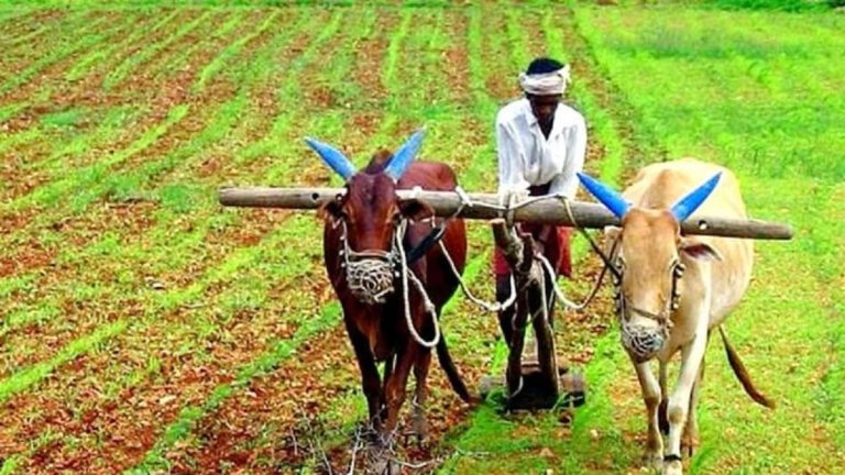 Kisan Card | Kisan Card UP | UP News