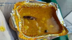 Vande Bharat Train | Cockroach in Vande Bharat's food | Cockroach found in food | Vande Bharat express