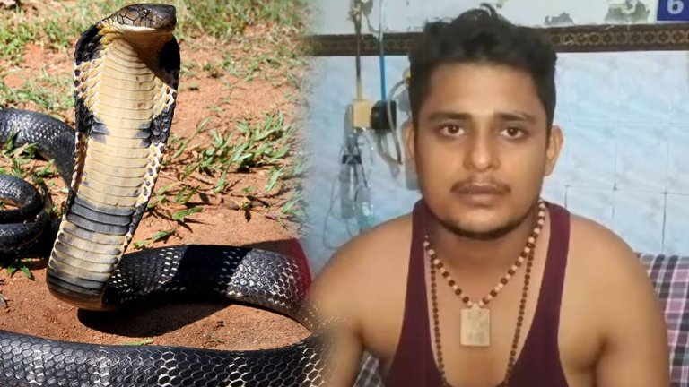 Snake bitten man Seven times times | Fatehpur news | Shresth uttar pradesh |