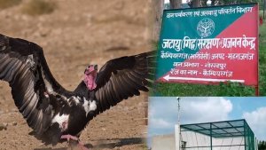 Jatayu Conservation and Breeding Centre | Chief Minister Yogi Adityanath | Shresth uttar Pradesh |