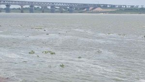 Cusec water released from Haridwar Barrage flood crisis in these areas