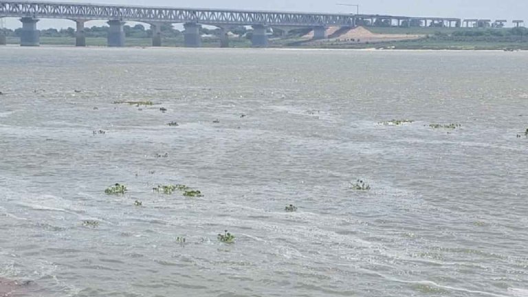 Cusec water released from Haridwar Barrage flood crisis in these areas