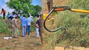 Etawah | Snakes Rescued in etawah | Shresth uttar Pradesh |