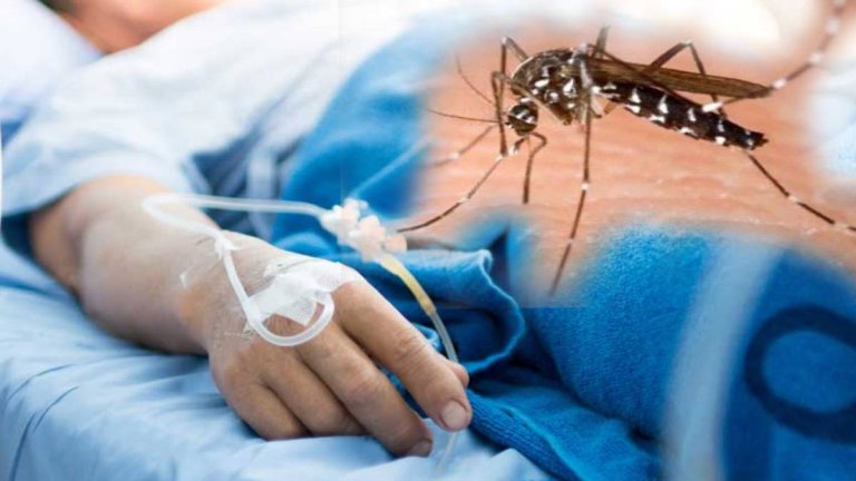 Malaria, Dengue And Chikungunya Outbreak In UP | Shresth uttar Pradesh |