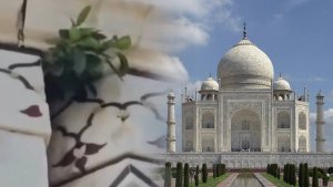 Negligence In Maintenance Of Taj Mahal | Taj Mahal | Shresth uttar Pradesh |