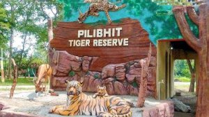 Pilibhit Tiger Reserve | Shresth uttar Pradesh |