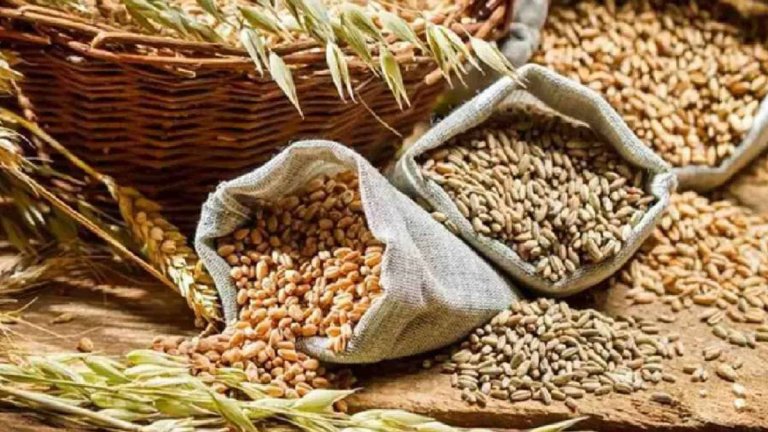 Procurement Of Coarse Grains | Shresth uttar Pradesh |